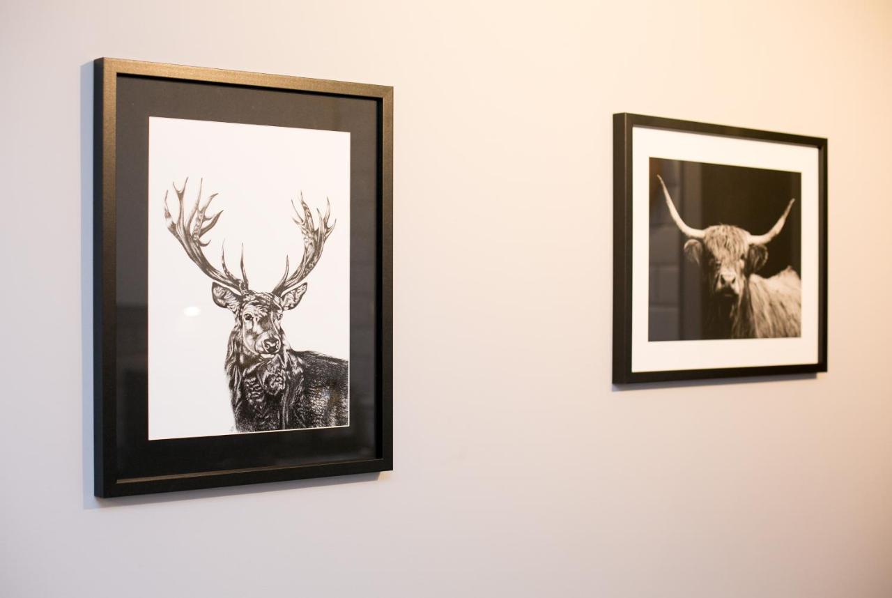 Malone Place Apartment ベルファスト エクステリア 写真